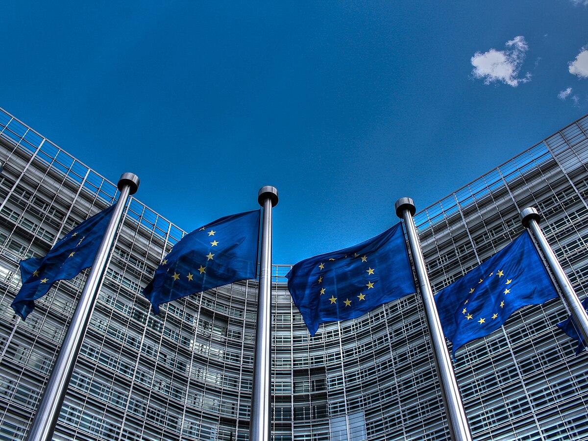 European_Union_Flags_2
